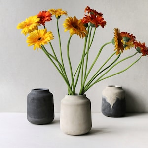 Jarrón de hormigón estanco / Jarrón de hormigón minimalista / Jarrón para flores / Jarrón con flores recién cortadas
