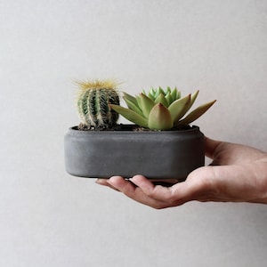 Oval minimalistic concrete planter | Dark gray concrete planter | Succulent oval plant pot | Oval concrete tray