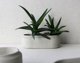 Concrete planter | Oval minimalistic concrete planter | Succulent plant pot