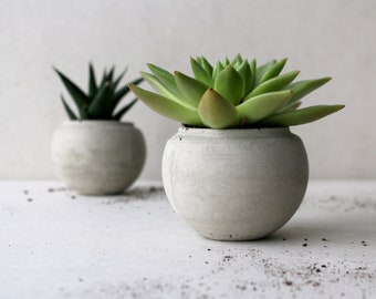 Concrete planter | Sphere minimalistic concrete planter | Succulent plant pot