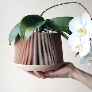 Puede incluir: Una maceta marrón acanalada con una base beige claro, que contiene una orquídea con hojas verdes y flores blancas. La maceta se sostiene en una mano. El diseño de la maceta presenta líneas verticales, creando una apariencia texturizada. Las flores de la orquídea tienen centros amarillos.