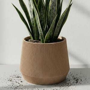 Può includere: Un vaso da fiori marrone chiaro a coste con una pianta di serpente. Il vaso ha una forma geometrica con linee verticali. La pianta di serpente ha lunghe foglie verdi con variegature gialle e bianche. Il terreno è visibile nella parte superiore del vaso.