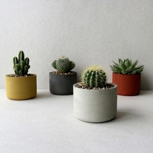 Vaso de concreto colorido, vaso para suculentas de 10 cm, recipiente moderno para cactos, decoração de mesa em cimento