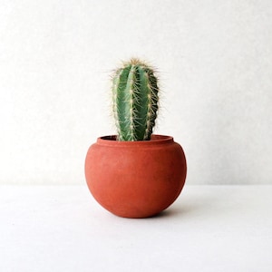 Terracotta red concrete planter pot | Sphere minimalistic concrete planter | Succulent plant pot | Gardening gift
