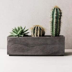 May include: A gray concrete planter with three succulents, including a tall cactus, a round cactus, and a leafy succulent.