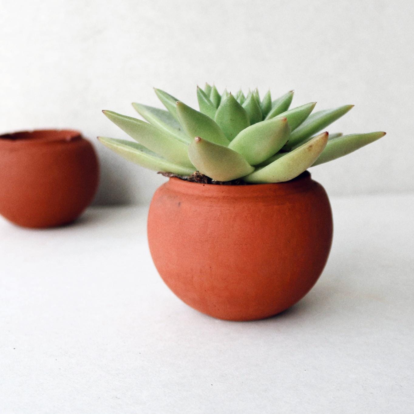 botle Vasi per fiori rotonde in plastica, effetto cemento, grigio chiaro, sottovaso, vasi da coltivazione, diametro 10,8 cm, piante grasse, cactus, erbe da interni, decorazione per la casa, il
