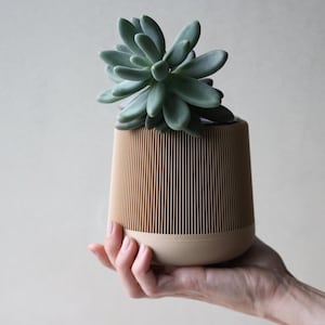 May include: A small, cylindrical planter with a ribbed, light brown exterior and a beige base. The planter holds a green succulent plant. The planter is held in a person's hand against a neutral background.