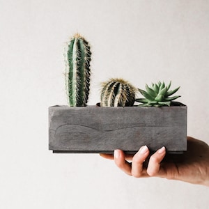 Puede incluir: Una jardinera rectangular de madera gris que contiene tres suculentas diferentes. La jardinera está siendo sostenida por una persona. Las suculentas incluyen un cactus alto y verde, un cactus redondo y una pequeña suculenta verde.