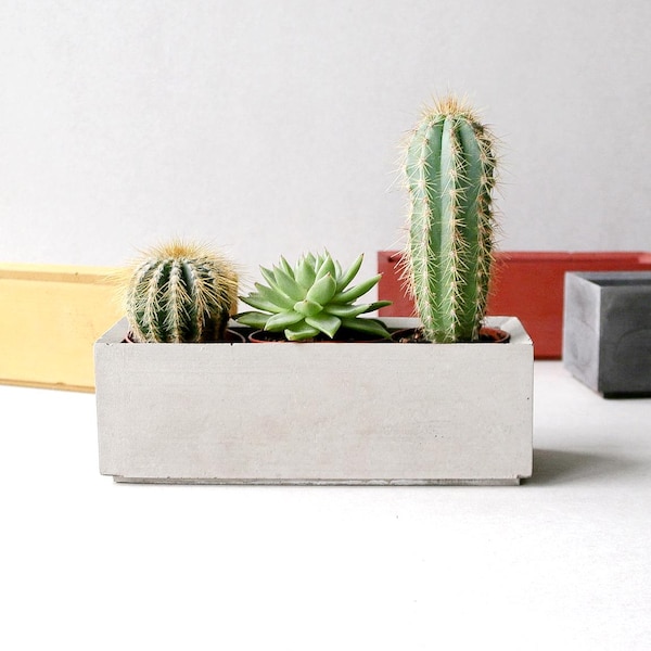 Rechthoekige plantenbak voor binnen, minimalistische plantenbak, vetplanthouder, cadeau-idee plantenliefhebbers, betonnen cactusplanter, unieke pot