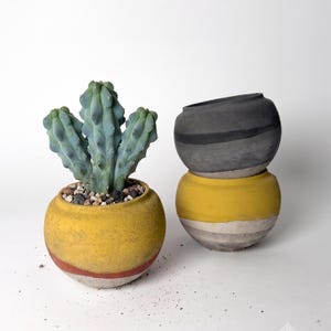 May include: A blue-green cactus planted in a round yellow pot with a red and white base, accompanied by two stacked round pots. The top pot is dark gray and black, while the bottom pot is yellow, white, and gray with a textured, matte finish.