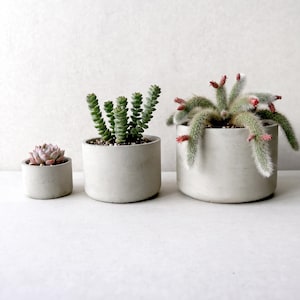 Modern Concrete Planter Set of 3, Nordic Minimalist Succulent Pots, Cement Cactus Planters with Drainage, Plant Lover Gift