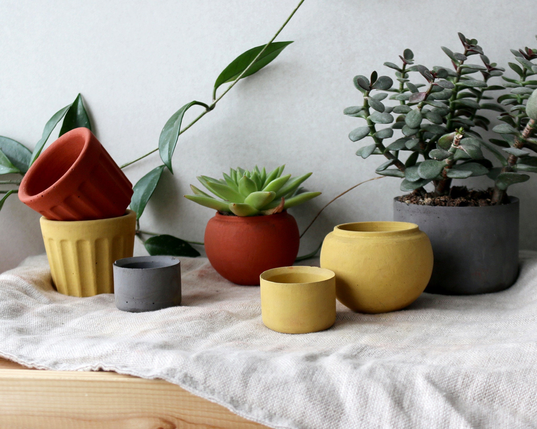 botle Vasi per fiori rotonde in plastica effetto cemento, terracotta, marrone, sottovaso, vasi da coltivazione, diametro 19,9 cm, piante grasse, cactus, erbe da interni, decorazione per la casa, il