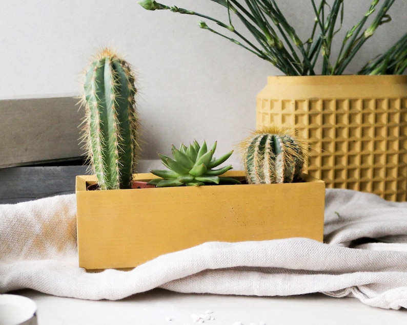 May include: A yellow rectangular planter with three succulents. The planter is sitting on a white fabric surface.