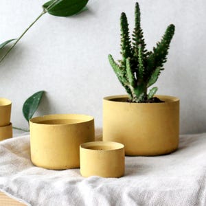 Terracottagele betonnen plantenbakken in 3 maten| Ronde minimalistische betonnen plantenbakken | Bureau-organizer