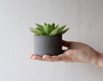 Medium size dark concrete planter | Round minimalistic concrete planter | Succulent pot 3”