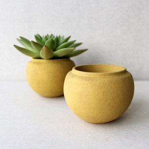Terracotta gele betonnen plantenbak | Bol minimalistische betonnen plantenbak | Vetplantpot | Tuinplant