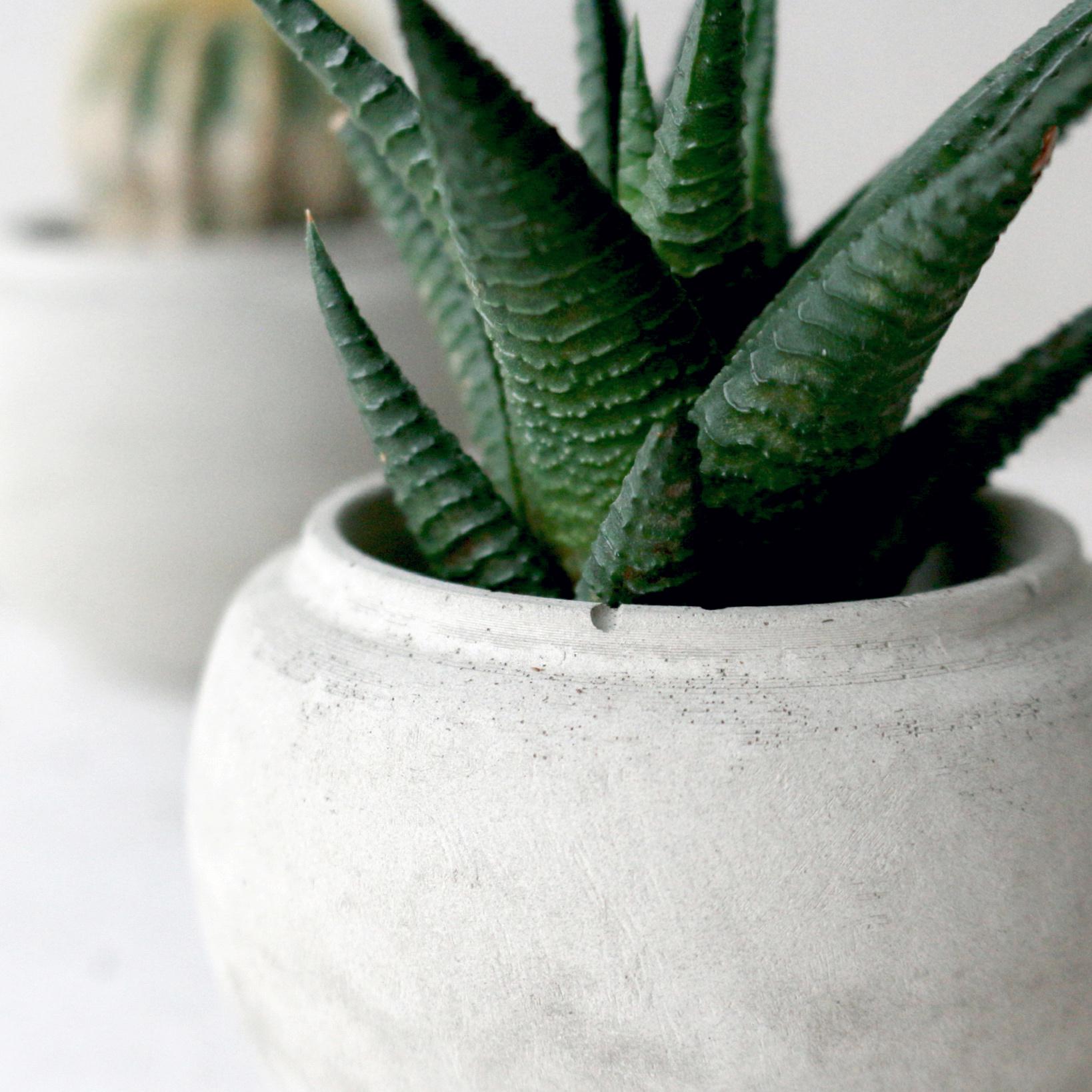Vaso per cactus minimalista in cemento - Piccolo vaso rotondo per piante grasse - Regalo moderno per il giardinaggio da interno - Vaso per fiori fatto a mano in stile nordico - Italia