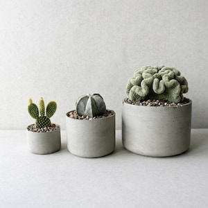 Set van 3 betonnen plantenpotten, kleine potjes voor vetplanten en cactussen, minimalistische cilindervormige cementen plantenpotten, moderne kamerplantenpot van 5, 7,5 en 10 cm.