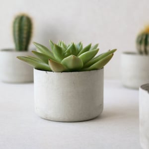 Middelgrote betonnen plantenbak | Ronde minimalistische betonnen plantenbak | Vetplantenpot 3&quot;