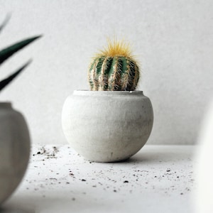 Jardinière succulente unique, jardinière boule disco en béton, décoration minimaliste sphérique, jardinière globe, petit pot en terre cuite, cadeau pour amateur de plantes
