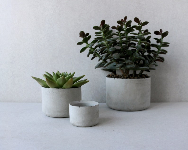 Betonpflanzgefäße Runde minimalistische Pflanzgefäße aus Beton Sukkulenten-Pflanztöpfe Bild 3