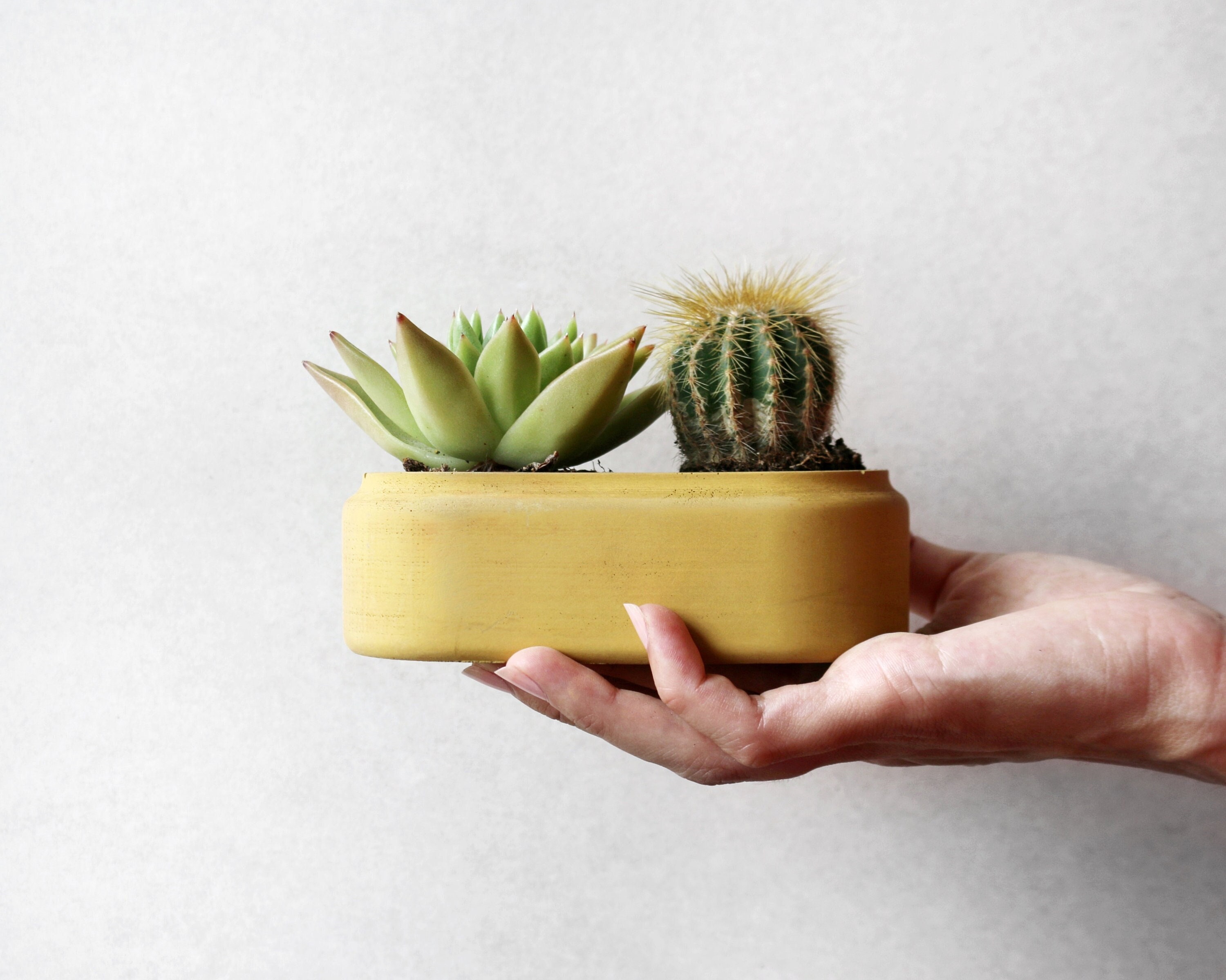 Jardinière en Béton Minimaliste Ovale | Jardinière Jaune Terre Cuite Succulents de Pot Plantes Ovale