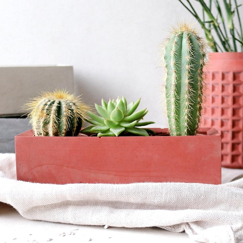 May include: A red concrete planter with three succulents. The planter is sitting on a white linen cloth. The succulents are a green cactus, a green rosette succulent, and a yellow cactus.