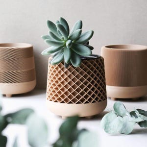 May include: Three decorative planters in shades of tan and beige. The center planter features a lattice design and holds a succulent plant. The other two planters have textured surfaces with geometric patterns. All planters have a rounded base.