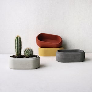 Peut inclure: Quatre contenants ovales de couleur gris clair, terre cuite, jaune et gris foncé. Le contenant gris clair contient un cactus colonnaire et un petit cactus rond. Chaque contenant présente une finition mate lisse et un design arrondi.