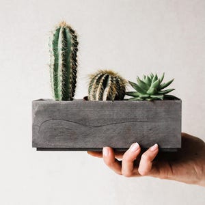 May include: A gray wooden planter box with three succulents. The planter box has a wavy design on the front.