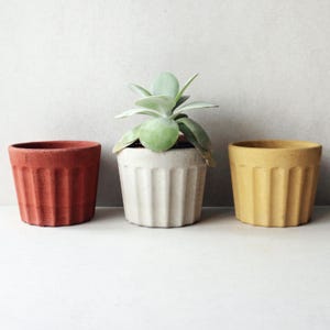 Könnte beinhalten: Drei kleine, strukturierte, zylindrische Pflanzgefäße in Terrakotta, Creme und Gelb. Der cremefarbene Topf enthält eine grüne Sukkulente. Jeder Topf hat vertikale Rillen. Die Töpfe sind auf einer weißen Oberfläche vor einem neutralen Hintergrund angeordnet.