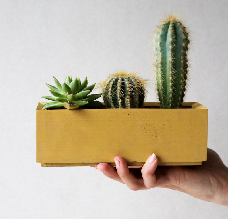 May include: A yellow rectangular planter with three succulents. The planter is made of concrete and has a smooth finish. The succulents are a green succulent, a cactus with white spines, and a tall cactus with green spines.