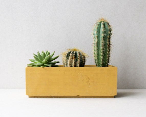 Yellow  terracotta concrete planter box | Minimalist planter pot | Succulent plant planter | Rectangular plant pot | Nursery planter box pot
