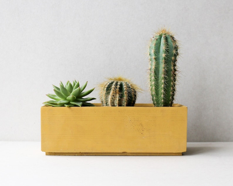 May include: A yellow rectangular planter with three succulents. The planter has a smooth, slightly textured surface. The succulents are a green echeveria, a green cactus, and a green ball cactus.