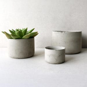 Concrete planters | Round minimalistic concrete planters | Succulent planter pots