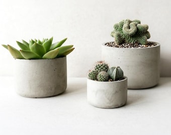 Minimalist Round Concrete Planter | Succulent & Cactus Pot
