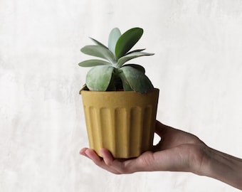 Minimalistische betonnen plantenbak, gecanneleerde succulente pot, modern Scandinavisch decor, handgemaakte geribbelde bloempot, cadeau voor plantenliefhebber