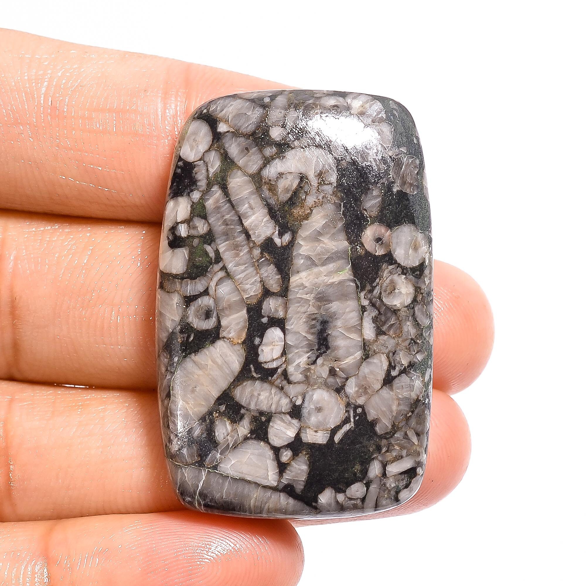 SHELL FOSSIL JASPER Cabochon Loose Gemstone Radiant Shape Etsy