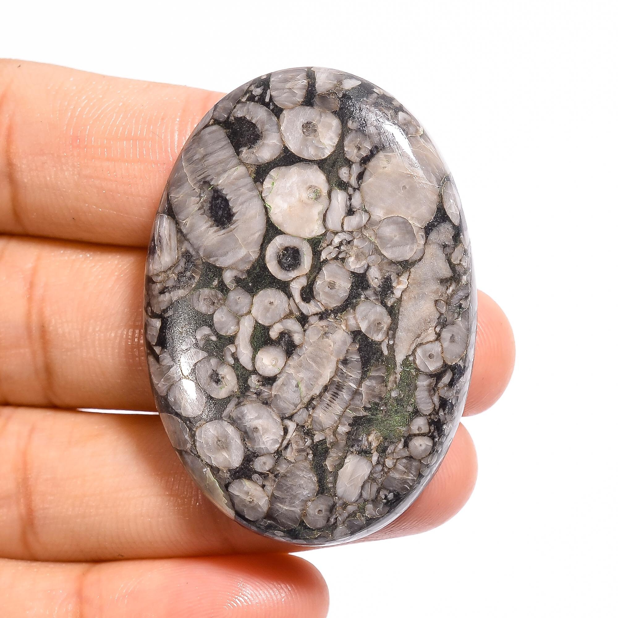 Ultimate SHELL FOSSIL JASPER Cabochon Loose Gemstone Oval Etsy