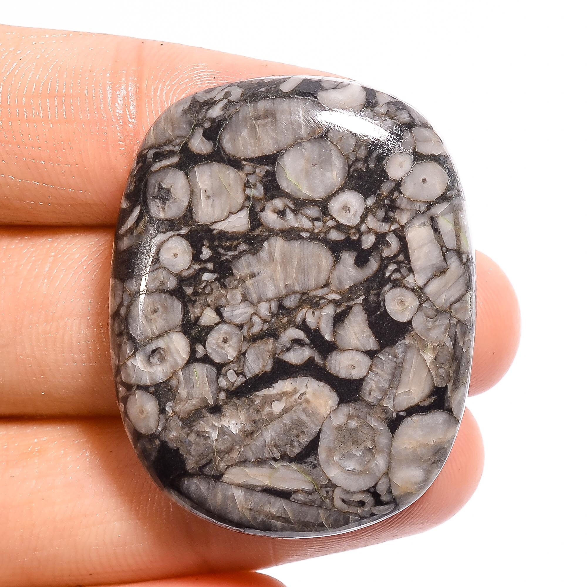 SHELL FOSSIL JASPER Cabochon Loose Gemstone Radiant Shape Etsy