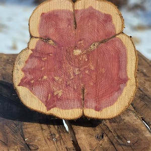 Red Cedar Flower Wood Slice - Rustic Wedding Cake Stand 12"-13"