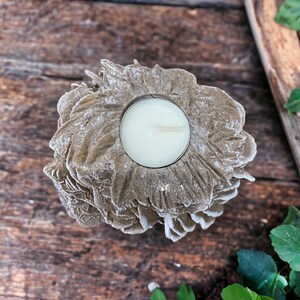 Desert Rose Cluster | Desert Rose | Desert Rose Selenite | Selenite |  Crystals | Candle Holder | Sphere Holder