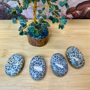 Dalmation Jasper Palm Stone | Dalmation Jasper | Palm Stones| Pocket Stones