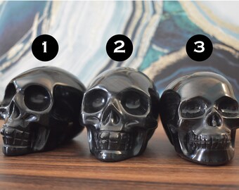 Obsidian/Silver Sheen Obsidian Skulls