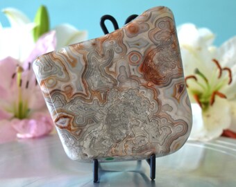 Mexican Crazy Lace Agate Freeform Center Piece - Crown, Third-Eye Chakra
