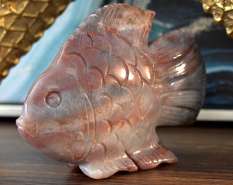 Ocean Jasper Fish