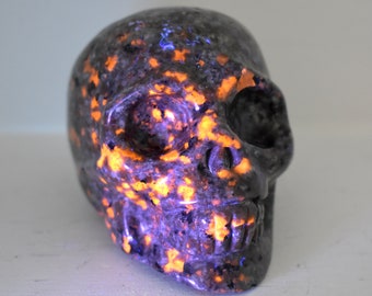 Yooperlite Skull