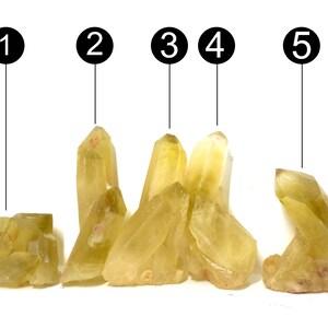 Puede incluir: Cinco racimos de cristales de citrino amarillo, cada uno con una forma y un tamaño diferentes. Los cristales están dispuestos en una fila de izquierda a derecha, con el racimo más grande a la izquierda y el más pequeño a la derecha.