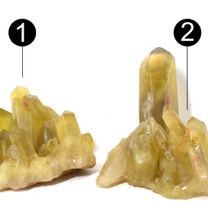 Puede incluir: Dos grupos de cristales de citrino amarillo, uno con una sola punta alta y el otro con varias puntas. Los cristales están sobre un fondo blanco.