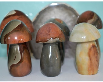 Polychrome Jasper Mushrooms (Desert Jasper)